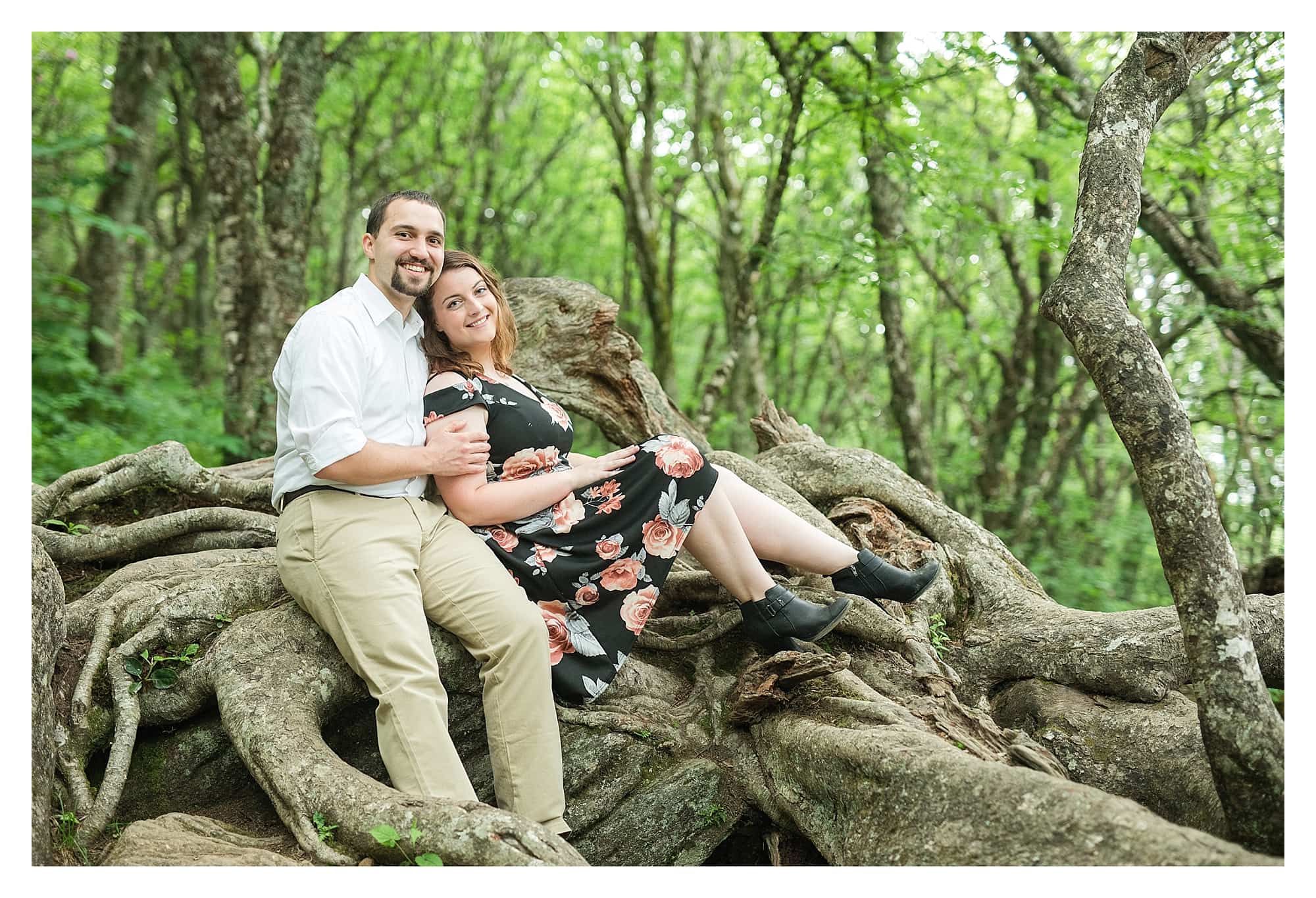 Magical Tree for Engagement Pictures