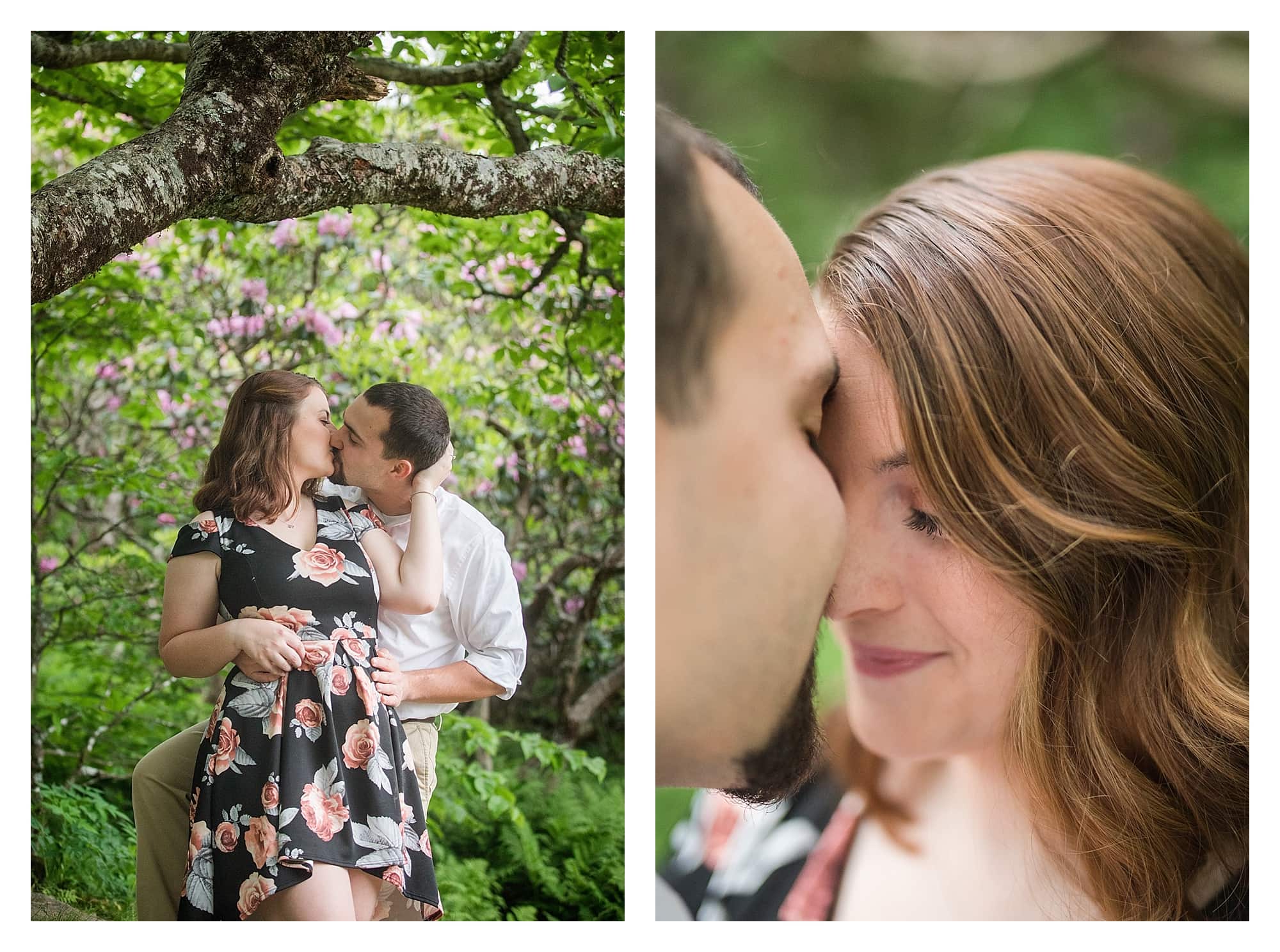 Couple kissing with Rhododendron behind them.